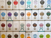 Pukka Organic Herbal Tea Bags, Popular Selection - 100% Organic, Great Tasting Tea for Well-Being Sensual Secret Boutique