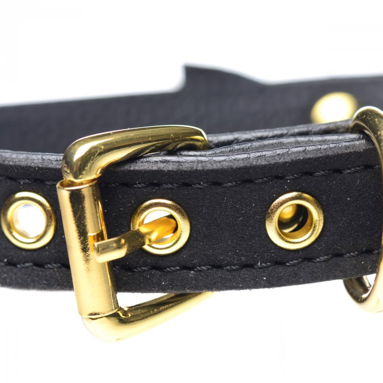 Master Series Golden Kitty Cat Bell Collar Black/Gold Sensual Secret Boutique