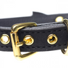 Master Series Golden Kitty Cat Bell Collar Black/Gold Sensual Secret Boutique