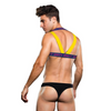 ENVY LOGO HARNESS - BLUE/YELLOW - M/L Sensual Secret Boutique