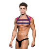 ENVY LOGO HARNESS - BLUE/PINK - L/XL Sensual Secret Boutique