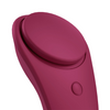 Satisfyer Sexy Secret Panty Vibrator Red Sensual Secret Boutique