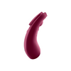 Satisfyer Sexy Secret Panty Vibrator Red Sensual Secret Boutique