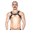 Prowler RED Bull Harness Black XL Sensual Secret Boutique