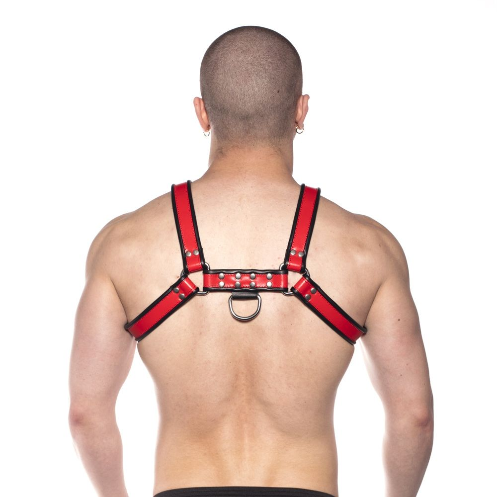 Prowler RED Bull Harness Black/Red XL Sensual Secret Boutique