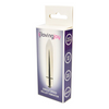 Loving Joy Single Speed Silver Bullet Vibrator Sensual Secret Boutique