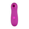 Loving Joy 10 Function Clitoral Suction Vibrator Sensual Secret Boutique