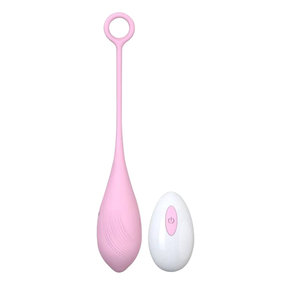 Loving Joy Remote Controlled Vibrating Egg Sensual Secret Boutique