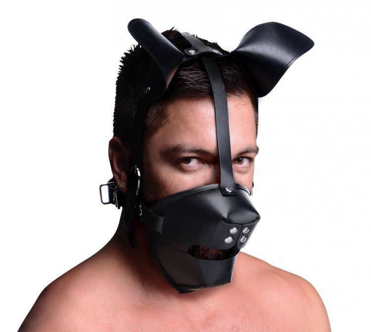 Master Series Puppy Play Hood With Breathable Ball Gag Sensual Secret Boutique