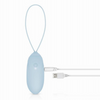 LUV EGG Vibrating Egg Blue - Remote Control Sex Toy Sensual Secret Boutique