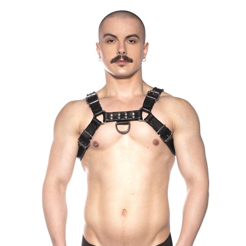 Prowler RED Bull Harness Black Large Sensual Secret Boutique