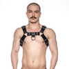 Prowler RED Butch Harness Black/Silver Small Sensual Secret Boutique