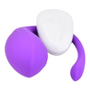 Loving Joy Remote Controlled Love Egg Vibrator Sensual Secret Boutique