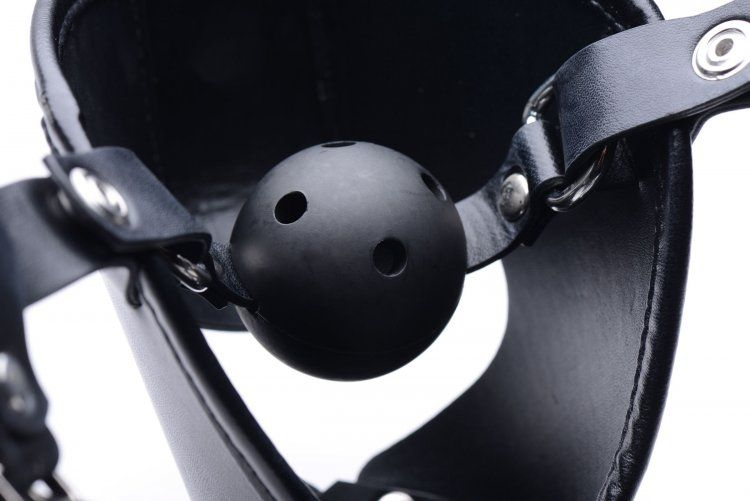 Master Series Puppy Play Hood With Breathable Ball Gag Sensual Secret Boutique