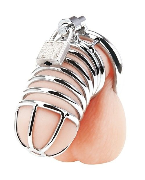 Blue Line Deluxe Chastity Cage Silver Sensual Secret Boutique