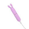 Nauti Petites 10 Speed Rabbit Ears Bullet Vibrator Sensual Secret Boutique