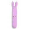 Nauti Petites 10 Speed Rabbit Ears Bullet Vibrator Sensual Secret Boutique