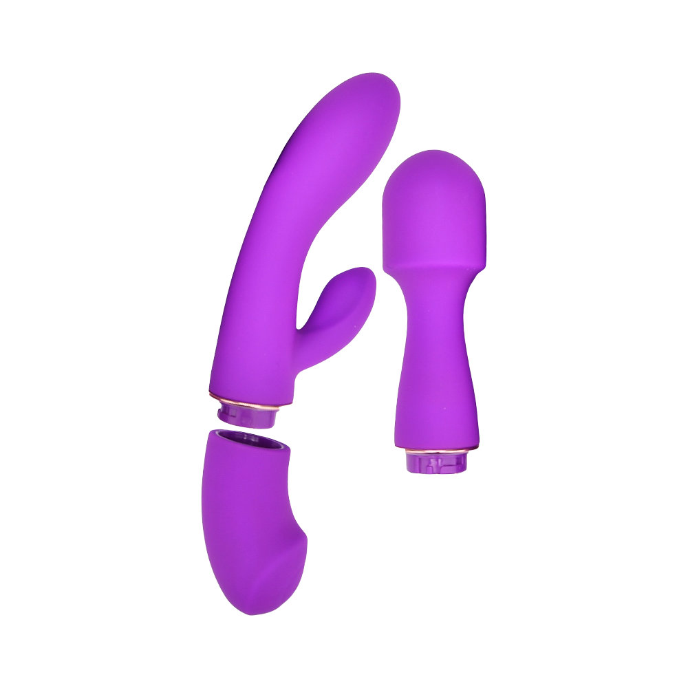 Loving Joy DUA Interchangeable Vibrator with 2 Attachments Sensual Secret Boutique