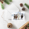 20 Blank Equestrian Greeting Cards - Pack H13 | Perfect for Horse and Equine Enthusiasts Sensual Secret Boutique