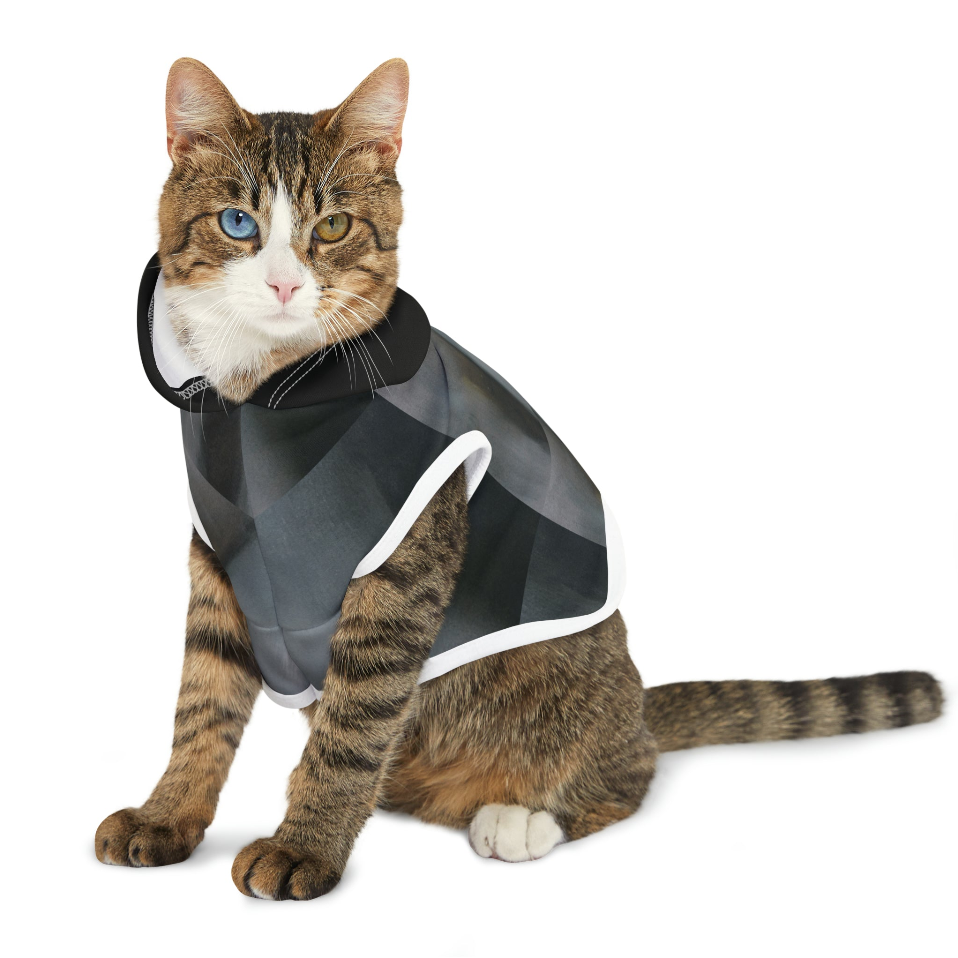 Pet Hoodie - The Alien | Customizable, Adorable, and Comfortable Sensual Secret Boutique