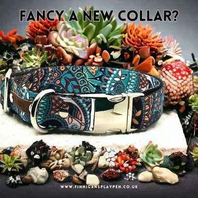 Wholesale Durable Designer Dog Collar No. 5l - Practical and Stylish for Dogs on the Go